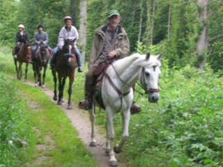 Sortie nature en groupe.jpg